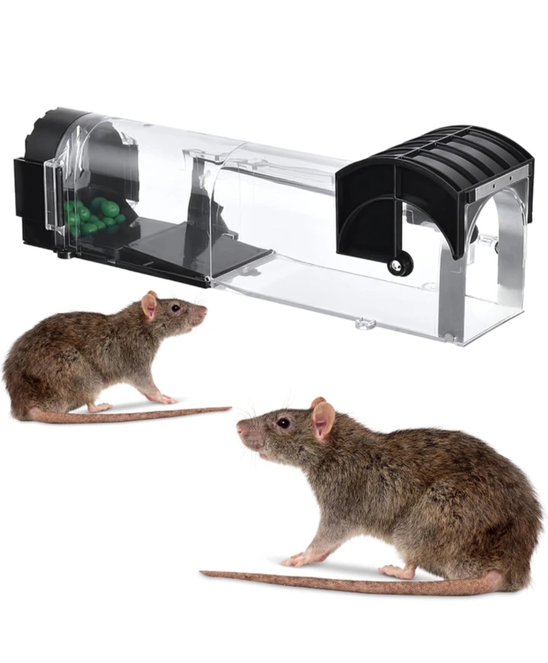 Rat trap